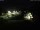 Webcam in Born auf Darß, 14.9 km