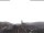 Webcam in Weißenkirchen in der Wachau, 6.9 km