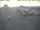 Webcam in 't Horntje (Texel), 7.6 mi away