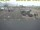 Webcam in 't Horntje (Texel), 3.4 mi away