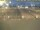 Webcam in 't Horntje (Texel), 3.5 mi away