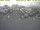 Webcam in 't Horntje (Texel), 16.3 mi away
