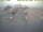 Webcam in 't Horntje (Texel), 49.8 km