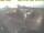 Webcam in 't Horntje (Texel), 2.3 mi away