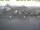 Webcam in Texel - t Horntje, 49.8 km