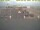 Webcam in Texel - t Horntje, 37.7 km