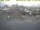 Webcam in 't Horntje (Texel), 7.6 mi away