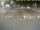 Webcam in Texel - t Horntje, 6.8 km