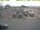 Webcam in 't Horntje (Texel), 3.4 mi away