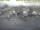 Webcam in 't Horntje (Texel), 4.8 mi away