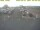 Webcam in 't Horntje (Texel), 17.8 mi away