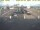 Webcam in 't Horntje (Texel), 16.3 mi away