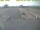 Webcam in 't Horntje (Texel), 0.1 km