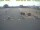 Webcam in 't Horntje (Texel), 42.2 km entfernt