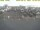 Webcam in 't Horntje (Texel), 7.6 mi away
