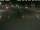 Webcam in 't Horntje (Texel), 7.6 mi away