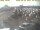 Webcam in 't Horntje (Texel), 7.6 mi away