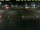 Webcam in 't Horntje (Texel), 7.6 mi away