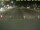 Webcam in Texel - t Horntje, 8.8 km