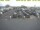 Webcam in Texel - t Horntje, 42.5 km