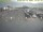 Webcam in Texel - t Horntje, 56.6 km