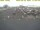 Webcam in 't Horntje (Texel), 18.8 mi away