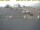 Webcam in Texel - t Horntje, 4.7 km