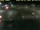 Webcam in 't Horntje (Texel), 7.6 mi away