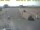 Webcam in 't Horntje (Texel), 7 km
