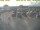Webcam in 't Horntje (Texel), 5.3 km