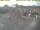 Webcam in 't Horntje (Texel), 7.6 mi away