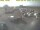 Webcam in 't Horntje (Texel), 2.3 mi away