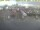 Webcam in 't Horntje (Texel), 7.6 mi away