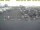 Webcam in Texel - t Horntje, 37.9 km