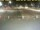 Webcam in 't Horntje (Texel), 7.6 mi away