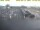 Webcam in 't Horntje (Texel), 3.4 mi away