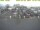 Webcam in 't Horntje (Texel), 11.4 mi away