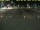 Webcam in 't Horntje (Texel), 11.4 mi away