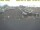 Webcam in 't Horntje (Texel), 7.6 mi away