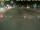 Webcam in Texel - t Horntje, 12.9 km