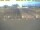 Webcam in 't Horntje (Texel), 7.6 mi away