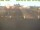 Webcam in 't Horntje (Texel), 2.3 mi away
