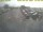 Webcam in 't Horntje (Texel), 7.6 mi away