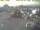 Webcam in 't Horntje (Texel), 7.6 mi away