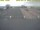 Webcam in Texel - t Horntje, 56.6 km