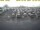 Webcam in 't Horntje (Texel), 16.3 mi away