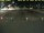 Webcam in Texel - t Horntje, 0.1 km