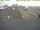 Webcam in 't Horntje (Texel), 7.6 mi away