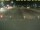 Webcam in Texel - t Horntje, 12.4 km