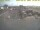 Webcam in 't Horntje (Texel), 7.6 mi away